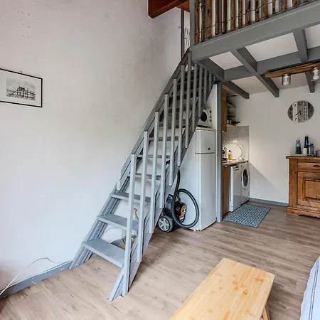 Maison Mitoyenne 300m De La Avec Cour Et Parking - 4 Pers, Non Fumeur - Fr-1-521-242 Holiday home Biscarrosse